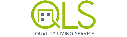 qls logo 1
